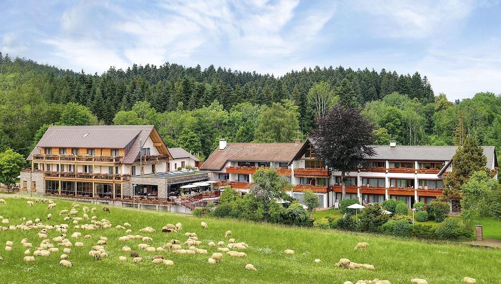 Hotel Gruener Wald Freudenstadt Exterior foto