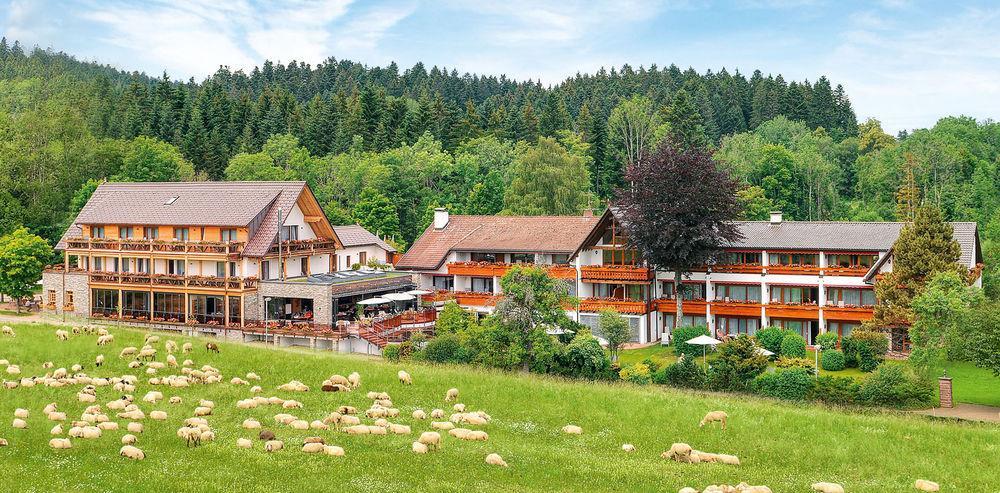 Hotel Gruener Wald Freudenstadt Exterior foto