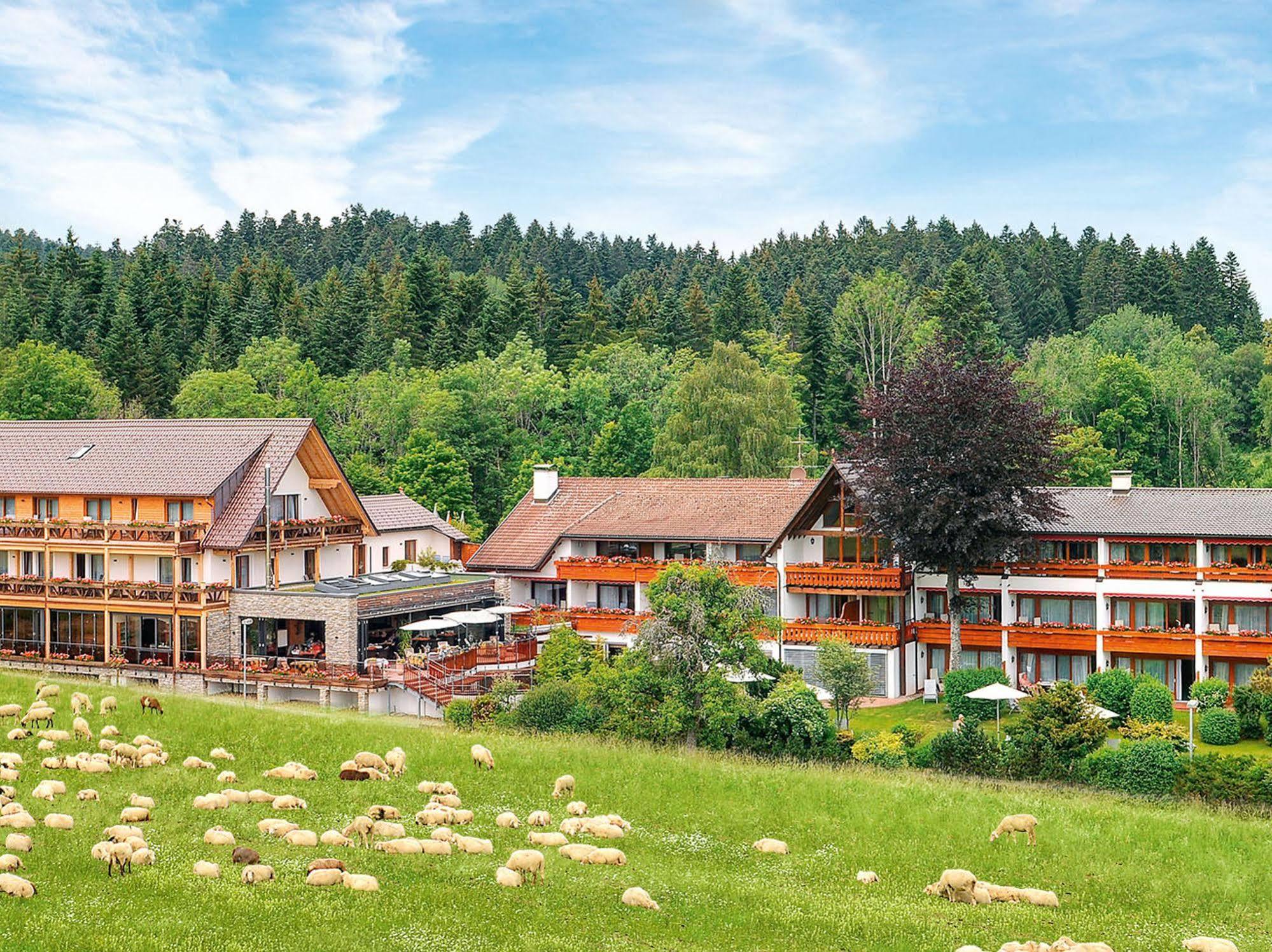 Hotel Gruener Wald Freudenstadt Exterior foto